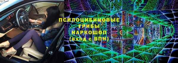 сатива Алексин