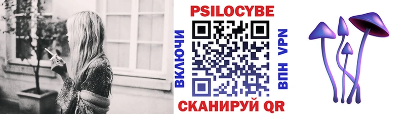 купить закладку  Гвардейск  Псилоцибиновые грибы ЛСД 