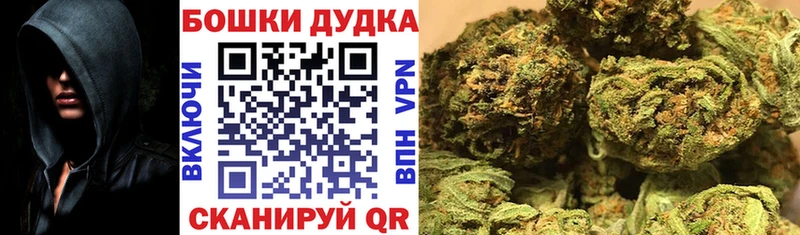 Марихуана конопля цены Гвардейск